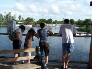 fishfeeding Feeding the Fish